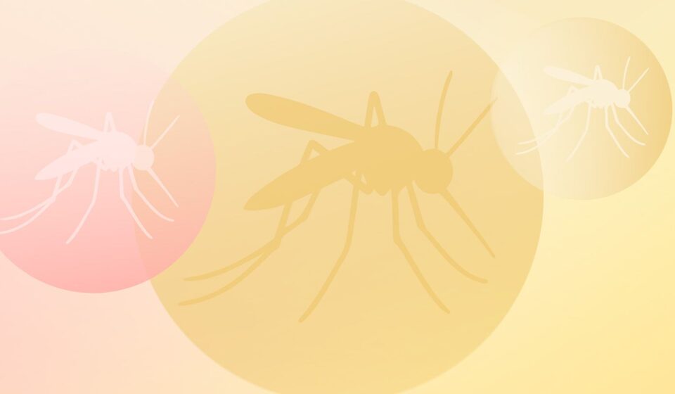 Mosquito Season Will Stretch Through October — Here’s How to Protect Yourself