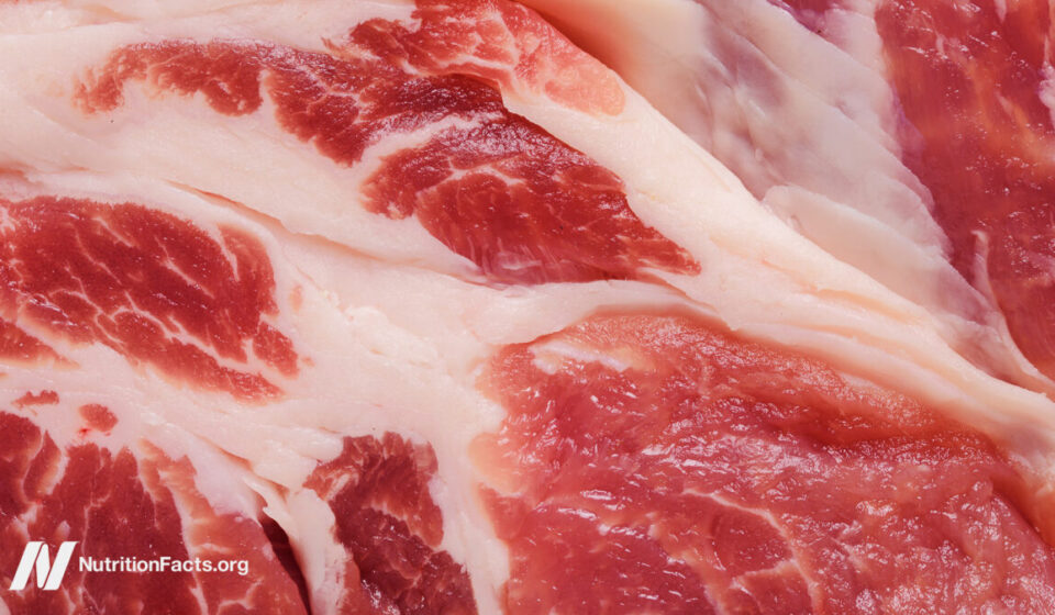 The Meat Papers Contradicted Their Own Data
